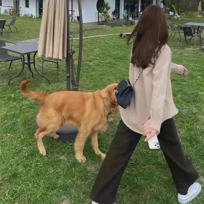 心动千年